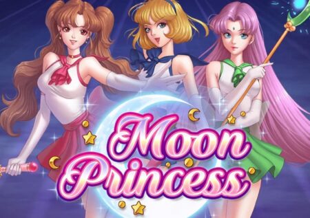 Play Moon Princess Slot Machine Game